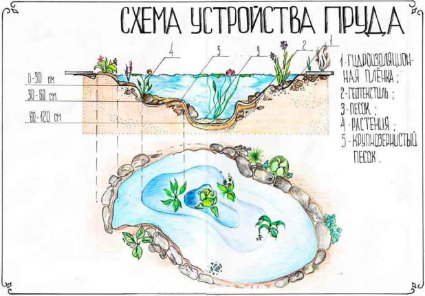 Инструкция по созданию искусственного пруда из готовой емкости
