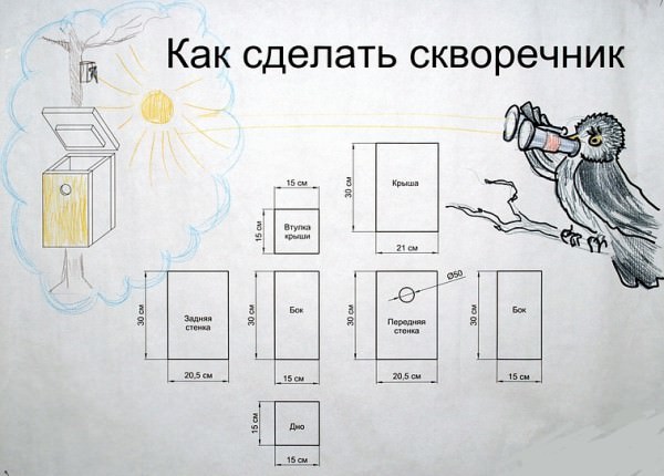 Как самостоятельно сделать скворечник для птиц на даче