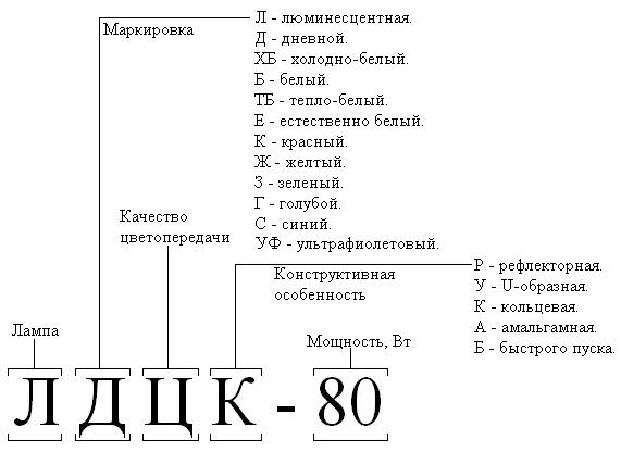 Какие бывают виды люминесцентных ламп