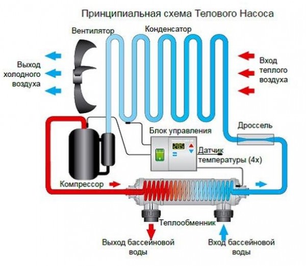 Варианты оборудования для подогрева воды в бассейне и порядок монтажа